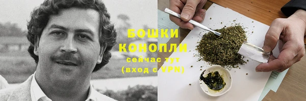 амф Пестово