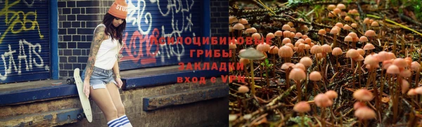 мдпв Архангельск