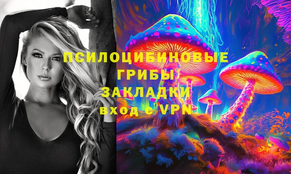 молекула духа Покачи