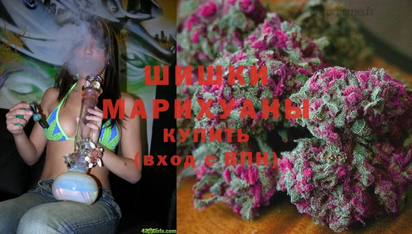 ПСИЛОЦИБИНОВЫЕ ГРИБЫ Покровск