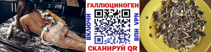 Псилоцибиновые грибы прущие грибы  Динская 